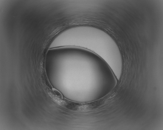 X0000053010309200507081028