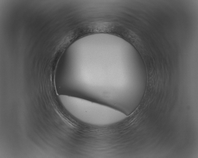 X0000053010310200507081028