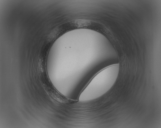 X0000053010316200507081028