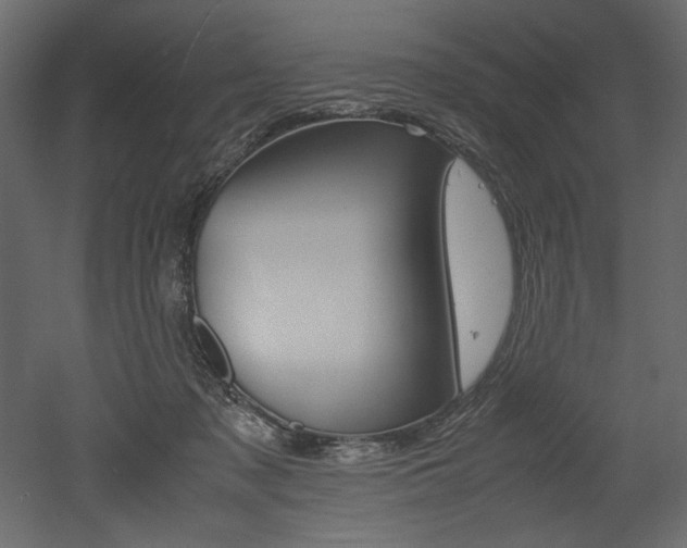 X0000053010317200507081028
