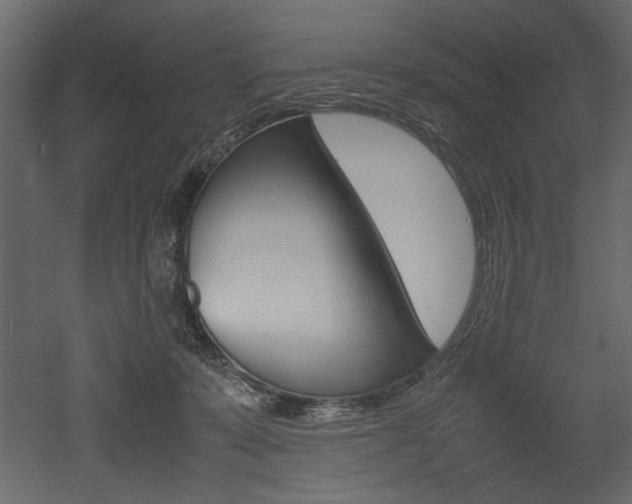 X0000053010319200507081028
