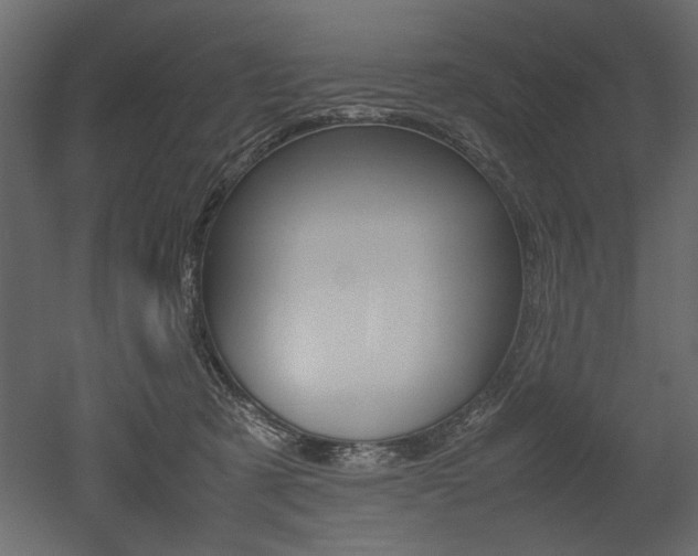 X0000053010321200507081028
