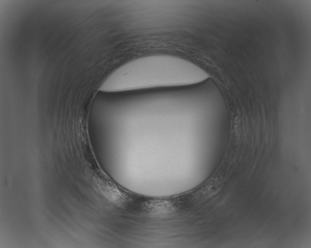 X0000053010322200507081028