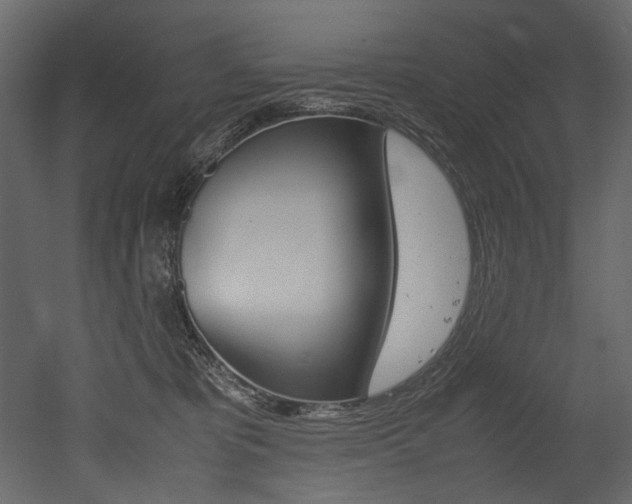 X0000053010325200507081028