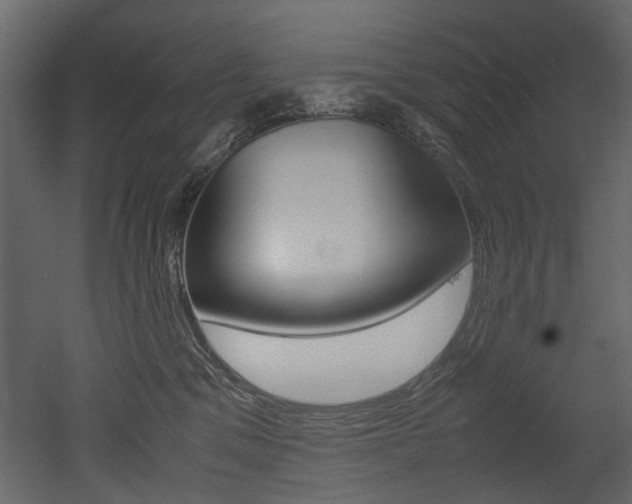 X0000053010329200507081028