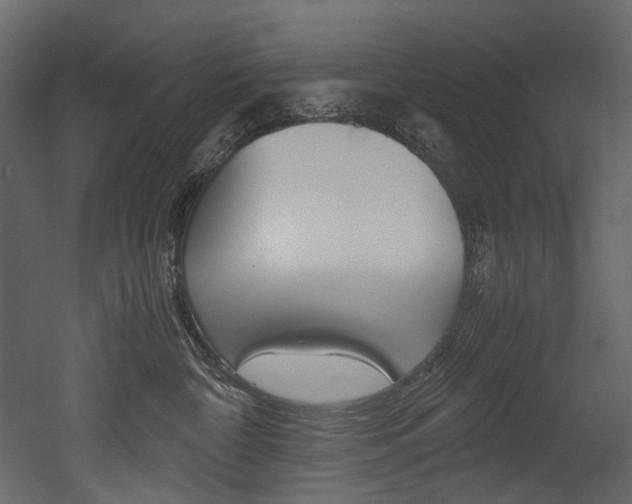 X0000053010332200507081028