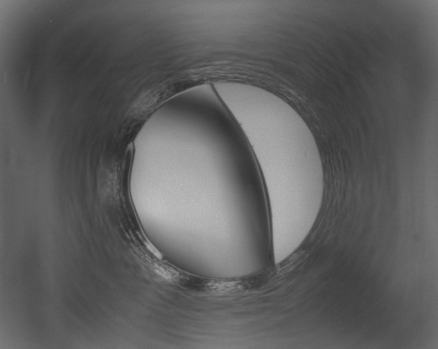 X0000053010333200507081028