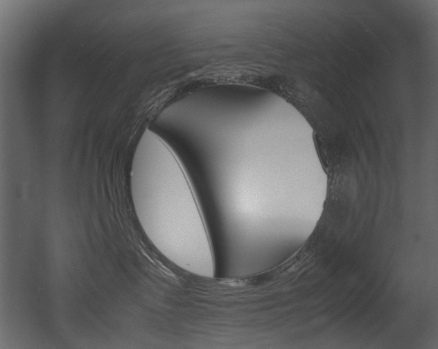 X0000053010335200507081028