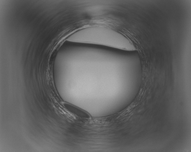 X0000053010338200507081027