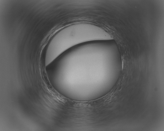 X0000053010339200507081027