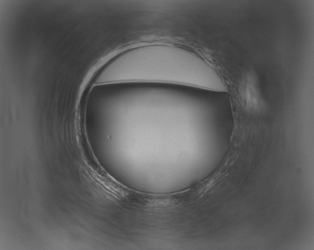 X0000053010342200507081027