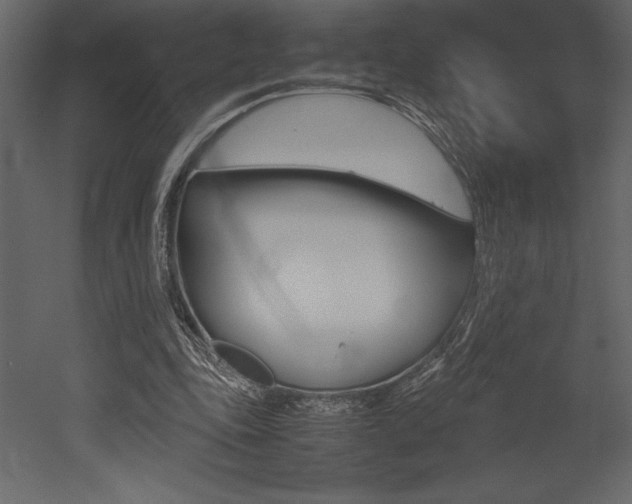 X0000053010343200507081027