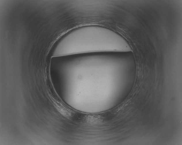 X0000053010346200507081027