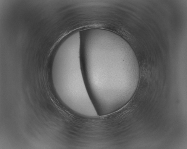 X0000053010347200507081027