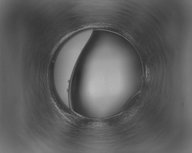 X0000053010348200507081027
