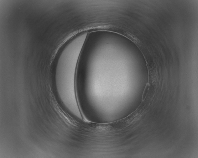 X0000053010350200507081027
