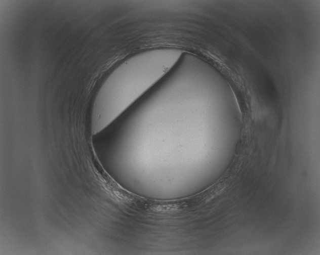 X0000053010353200507081027