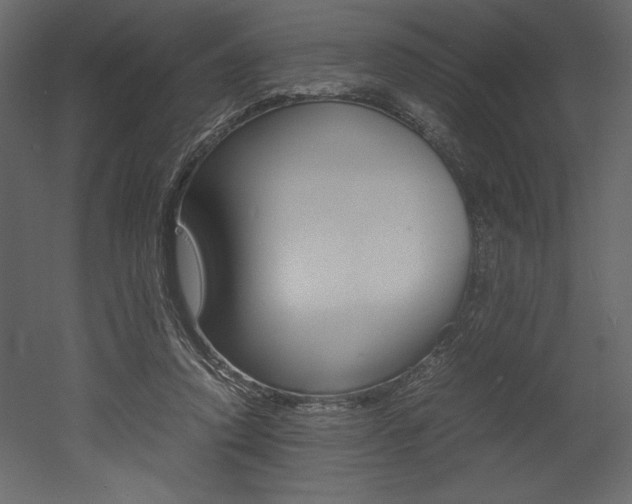 X0000053010354200507081027