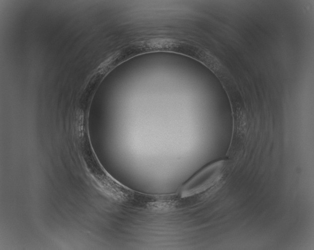 X0000053010356200507081027