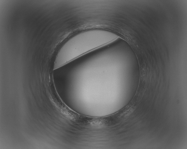 X0000053010358200507081027