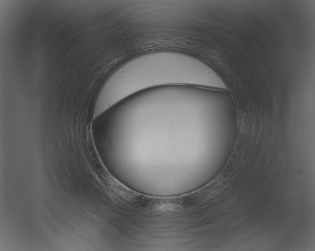 X0000053010360200507081027