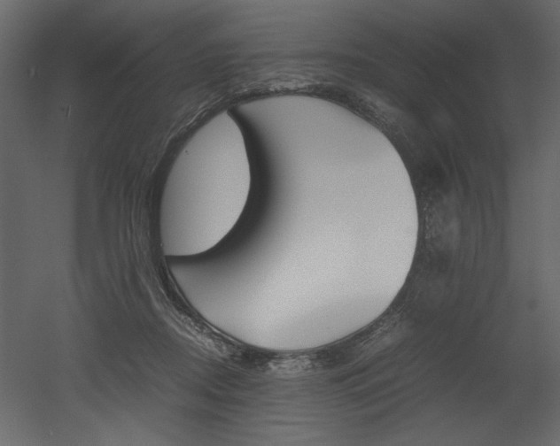 X0000053010362200507081027