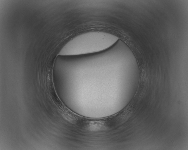 X0000053010363200507081027