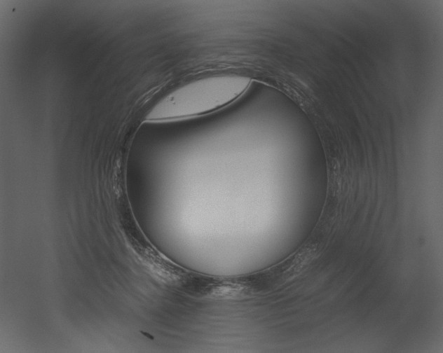 X0000053010364200507081027
