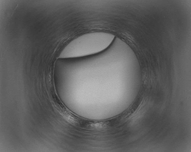 X0000053010365200507081027