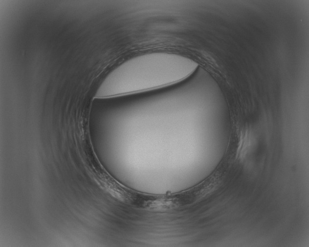 X0000053010366200507081027
