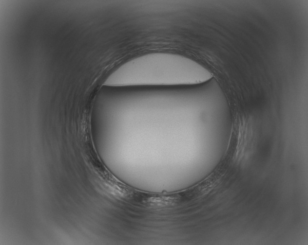 X0000053010367200507081027