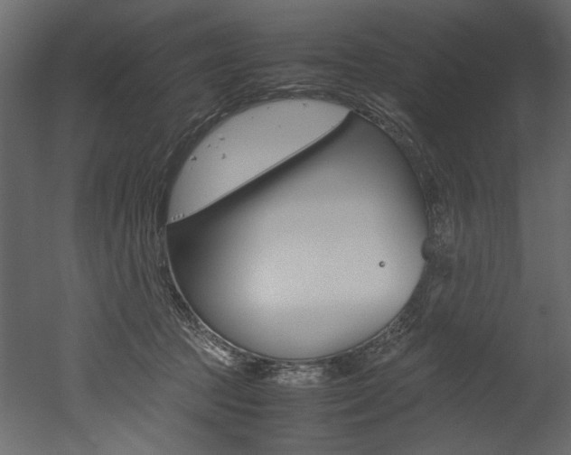 X0000053010369200507081027