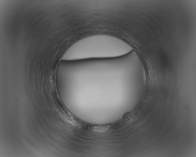 X0000053010373200507081028