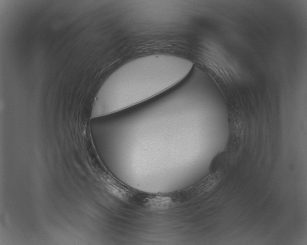 X0000053010374200507081028