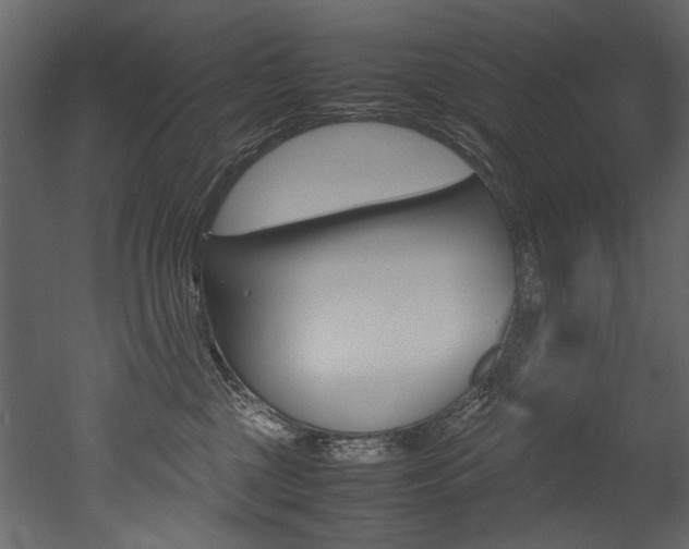 X0000053010377200507081028