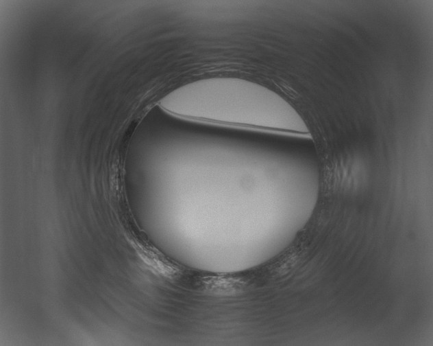 X0000053010379200507081028