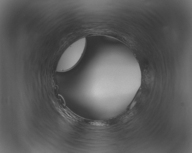 X0000053010380200507081028