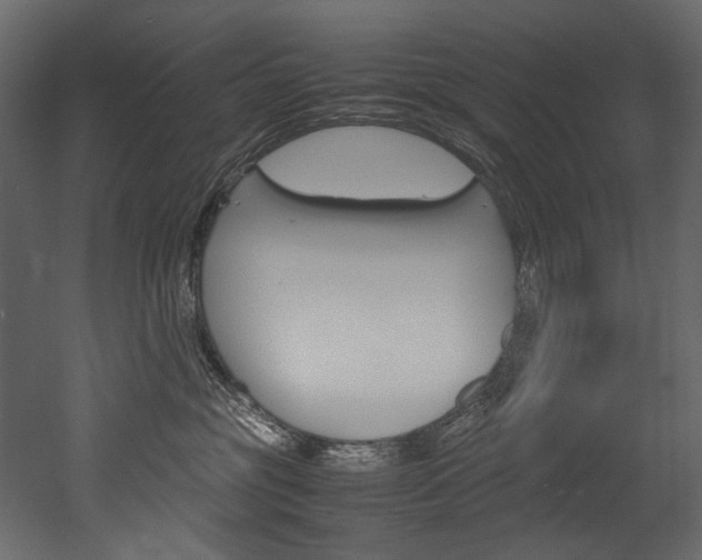 X0000053010381200507081028