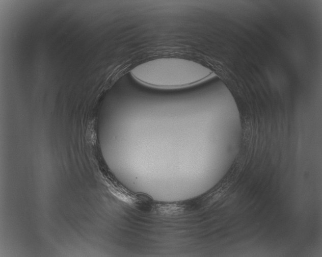X0000053010383200507081028