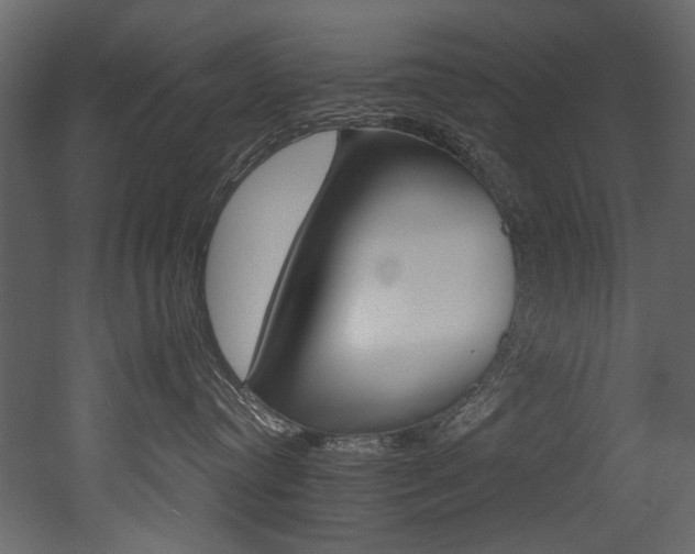X0000053010384200507081028