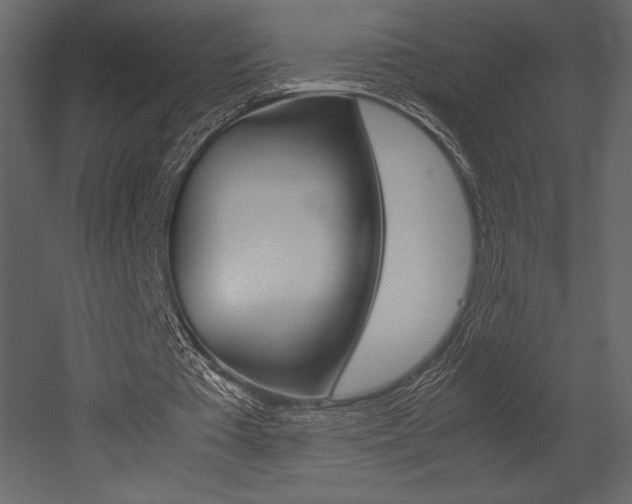 X0000053010385200507081027