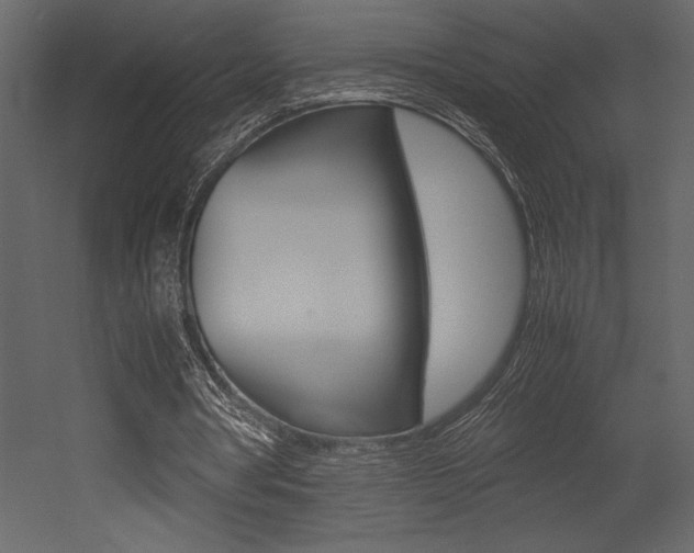 X0000053010386200507081027