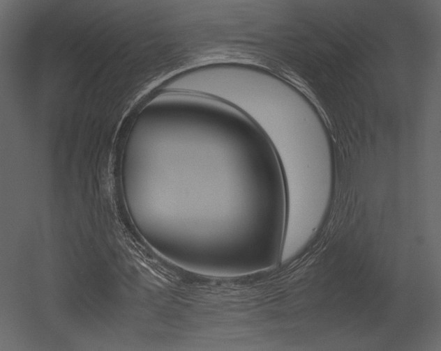 X0000053010387200507081027