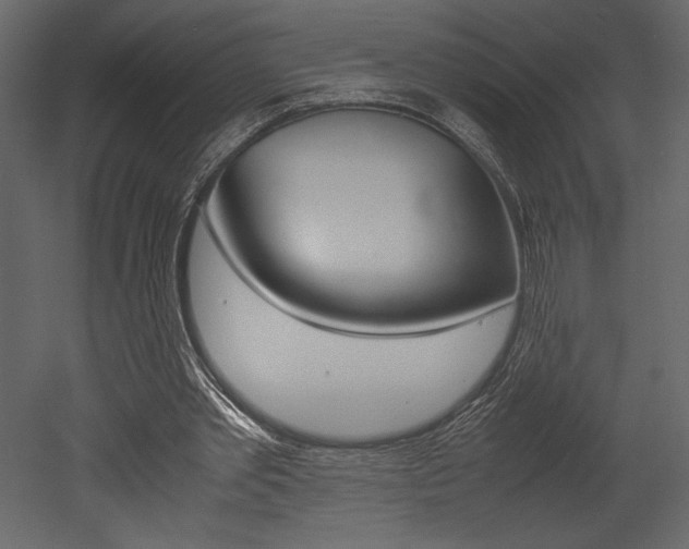 X0000053010389200507081027