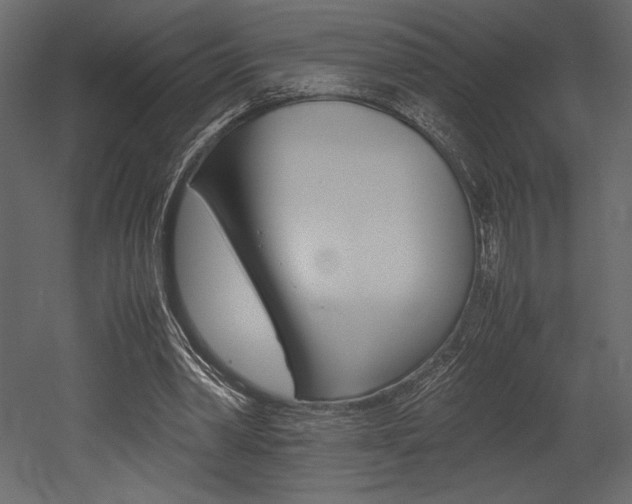 X0000053010390200507081027