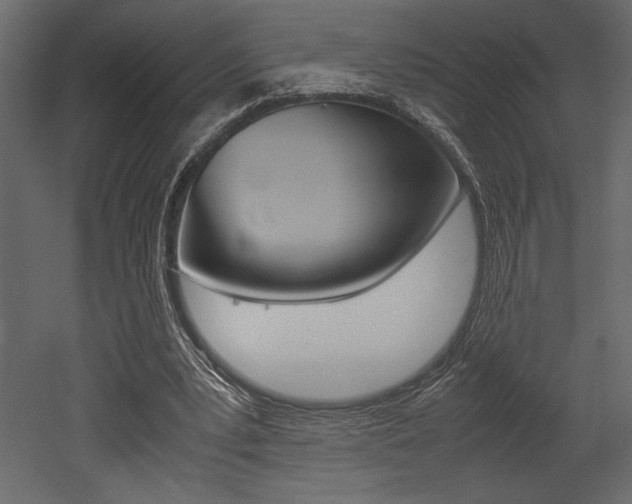 X0000053010391200507081027