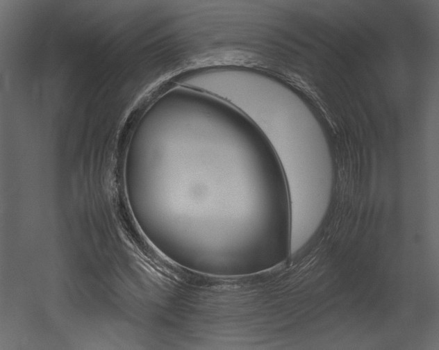 X0000053010392200507081027