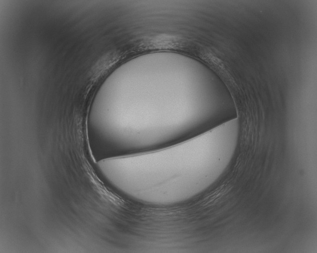 X0000053010394200507081027