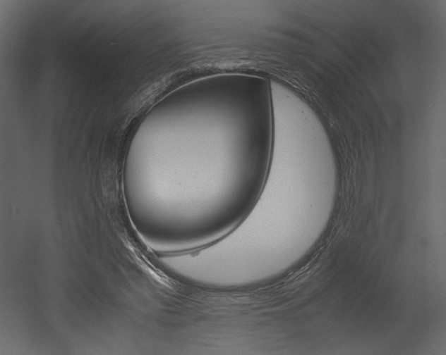 X0000053010397200507081027