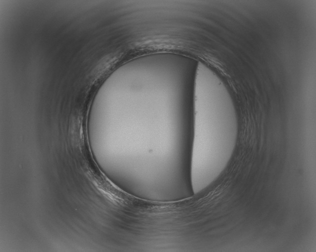 X0000053010398200507081027